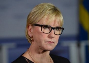 Глава МИД Швеции призывает к отмене е-декларирования для антикоррупционеров и ратификации Украиной Стамбульской конвенции