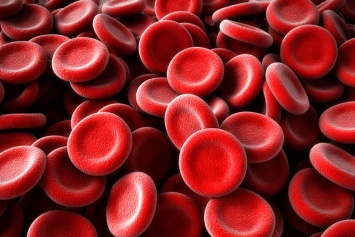 Ученые рассказали, чем отличаются группы крови