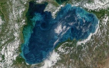 В NASA обеспокоены изменениями в Черном море, которое окрасилось в бирюзовый цвет