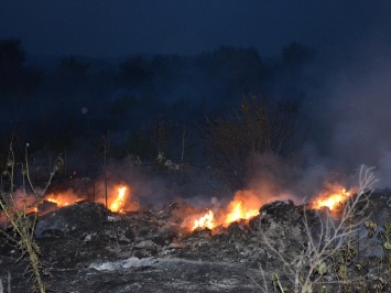 В Николаеве горящую свалку тушили почти 2 часа - площадь пожара составила 600 кв. м