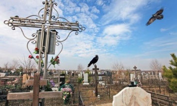 Появились подробности громкого дела в Запорожье: женщина перепутала могилу? (Видео)