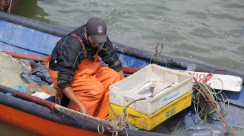 Саудовская Аравия обстреляла иранские рыболовецкие суда