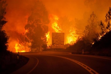 В Португалии свирепствуют лесные пожары, 24 человека погибли