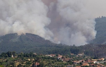 Пожары в Португалии: среди жертв украинцев нет