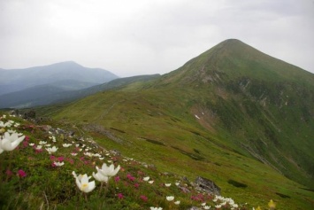 Группа туристов заблудилась в горах Закарпатской области