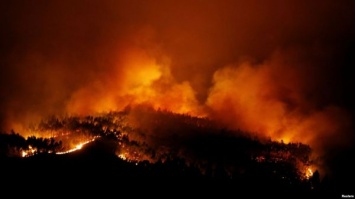 Как минимум 61 человек погиб в результате лесных пожаров в Португалии