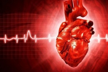 Ученые придумали способ восстановления от инфаркта
