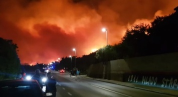 Пожар на курорте в Хорватии: эвакуированы сотни туристов, к тушению привлекли армию