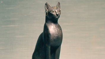 Ученые доказали, что кошки были одомашнены древними египтянами