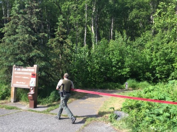 Черный медведь загрыз 16-летнего участника забега по пересеченной местности на Аляске