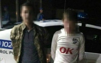 В Житомире двое парней изнасиловали девушку прямо на улице