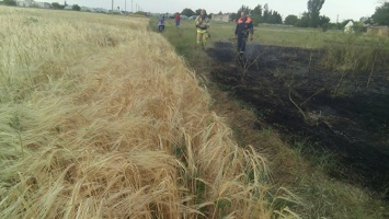 За шаг до беды: крымские спасатели остановили пожар за полметра до поля ячменя