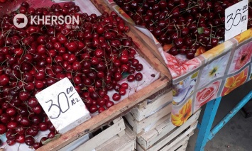 Черешня на вес золота: сколько стоит ягода на херсонском рынке