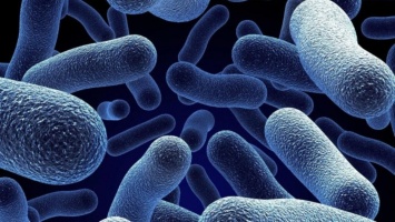 При чихании бактерии сохраняются в воздухе еще 45 минут