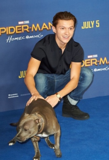 Том Холланд с собакой на премьере "Человека-паука" в Лондоне