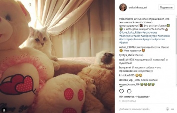 Анастасия Волочкова для своего кота завела аккаунт в Instagram