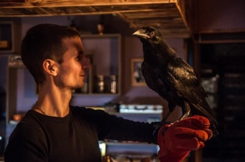 Как днепровские зоозащитники спасали ворона (Фото)