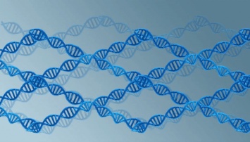 Биохимики сделали большой шаг к созданию ДНК-компьютеров