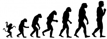 Ученые: Эволюции на самом деле не существует