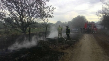 На Николаевщине лесной пожар едва не перекинулся на жилые дома - огонь тушили больше 50 человек