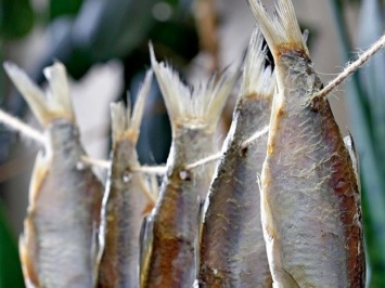 Поаккуратней с рыбой: в Запорожье критическая ситуация по количеству заболевших ботулизмом