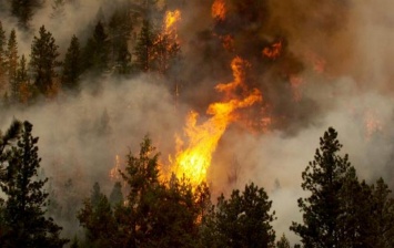 В Испании из-за угрозы лесных пожаров эвакуировали более тысячи человек
