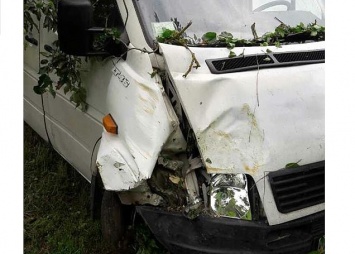 Пьяный водитель грузовика сбил детей в Житомирской области