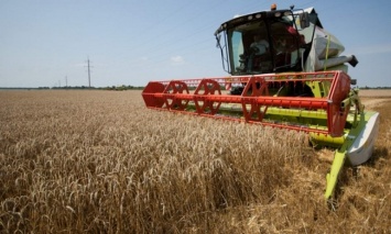 Уборка ранних зерновых на Николаевщине: средняя урожайность составляет 25,9 ц/га