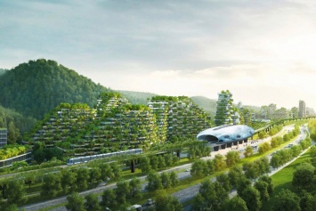 Первый в мире лесной город построят в Китае к 2020 году