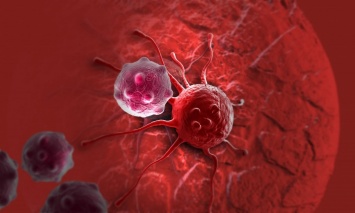 Медики объяснили, почему раковые клетки не уничтожаются в организме людей