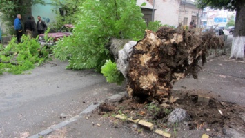 Вследствие непогоды в Украине обесточены 86 населенных пунктов, повалены 147 деревьев. Погиб человек