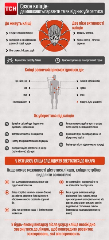 В Харьковской области 14 человек заразились тяжелой болезнью Лайма