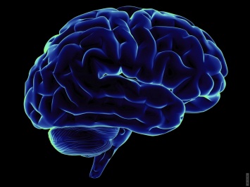 Американские ученые смогли изменить активность мозга у животных