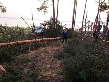 В Черкасской области сломанное ветром дерево убило девушку в палатке