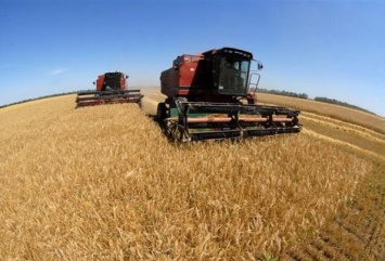 Запорожские аграрии уже начали собирать урожай этого года