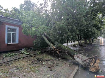 Последствия урагана в Каменец-Подольском