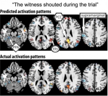 Искусственный интеллект помог ученым «прочесть мысли» по снимкам мозга