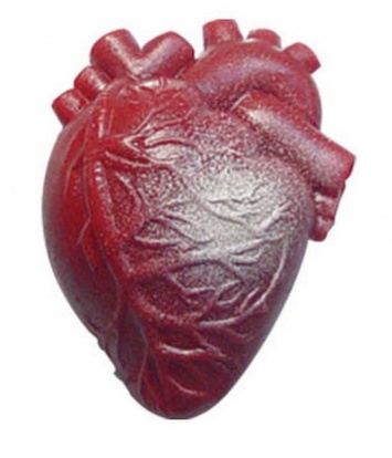 Ученые нашли метод регенерации сердечной мышцы