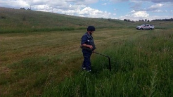 На Луганщине пиротехники изъяли 55 огнеопасных предметов