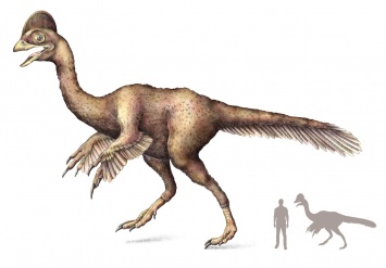 Ученые открыли новый вид огромных динозавров
