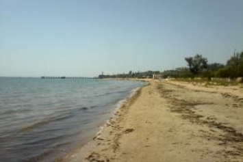 "Тина, жара, вонь... Но нюхать некому - пляжи пустые": соцсети об отдыхе в Крыму