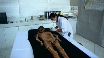 Ученые воссоздали лицо Клеопатры Южной Америки, которая умерла 1 700 лет назад
