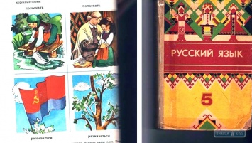 Под Одессой школьного библиотекаря уволили за выдачу книг времен СССР