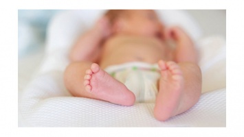 Рождаемость в Крыму бьет рекорды: за неделю на свет появились полтысячи малышей