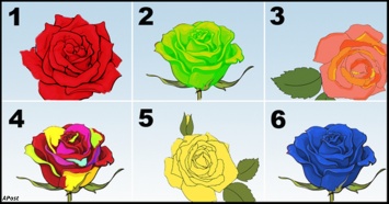 Выберите самую красивую розу - и мы расскажем главный секрет вашей личности