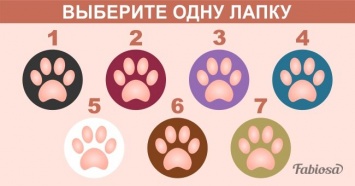 Выберите лапку и узнайте, какой вы кот!