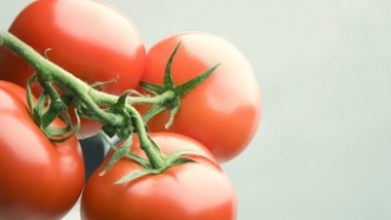 Биологи назвали помидоры "убийцами" рака