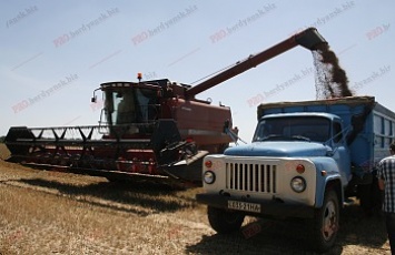 В Бердянском районе треть урожая зерновых и зернобобовых уже убрали