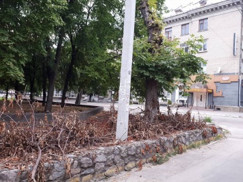 Никопольчан возмущает разруха в центре города (Фото)