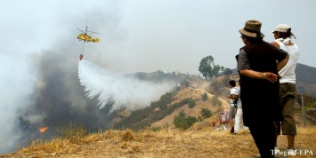 В Черногории из-за сильнейшего лесного пожара начали эвакуировать туристов